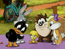 Imagen del  v&iacute;deo de Baby Looney Tunes en ingl&eacute;s titulado The wheel deal
