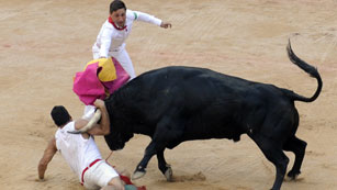 Ver v&iacute;deo  'Un toro embiste en la plaza al imprudente mozo'
