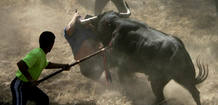 toro de la-vega toro de la-vega