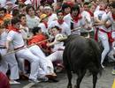 Un toro rezagado pone en aprietos a varios mozos en el tramo de telef&oacute;nica