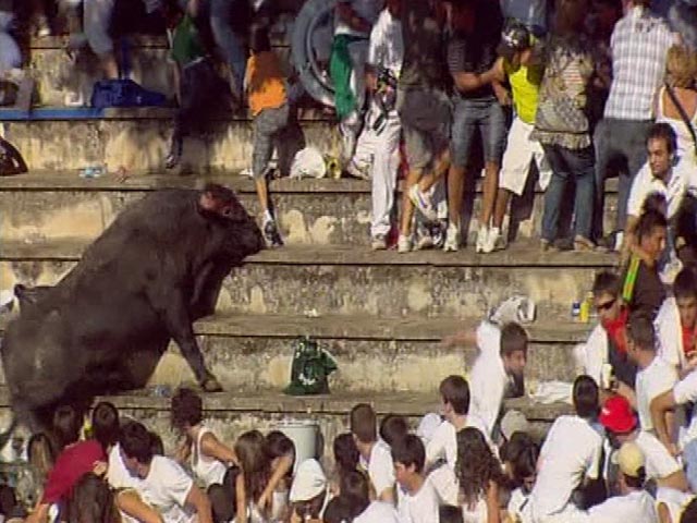 Un toro salta al tendido en las fiestas de Tafalla, en Navarra