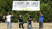 Ir al Video&nbsp;El Toro de la Vega se celebra un a&ntilde;o m&aacute;s pese a las protestas y la pol&eacute;mica