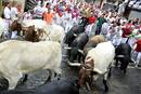 Tercer encierro San Ferm&iacute;n 2011