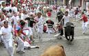 LOS TOROS DE EL PILAR CORREN EL ENCIERRO M&Aacute;S R&Aacute;PIDO DE LOS SANFERMINES