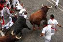LOS TOROS DE EL PILAR CORREN EL ENCIERRO M&Aacute;S R&Aacute;PIDO DE LOS SANFERMINES