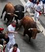 LOS TOROS DE EL PILAR CORREN EL ENCIERRO M&Aacute;S R&Aacute;PIDO DE LOS SANFERMINES
