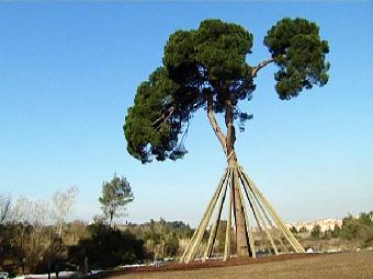 El escarabajo verde - Torre negra, novela g&oacute;tica
