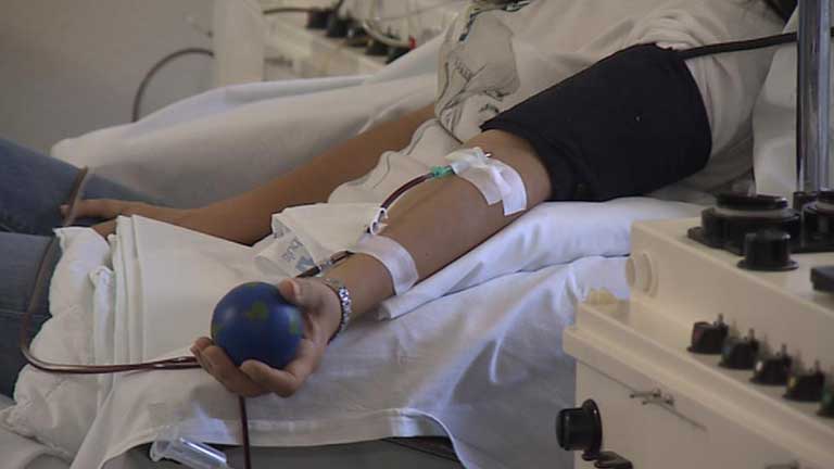 Alrededor de 350 personas esperan en España un trasplante de células madre