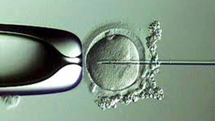 Tratamiento de fertilizaci&oacute;n