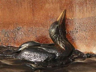 Ver v&iacute;deo  'En tres semanas, se han vertido al oc&eacute;ano 17 millones de litros de crudo y los efectos sobre la fauna ya son visibles'