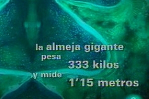 Ver v&iacute;deo  'tres14 - Y adem&aacute;s'