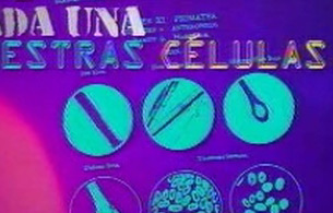 Ver v&iacute;deo  'tres14 - El ADN, nuestra huella gen&eacute;tica'