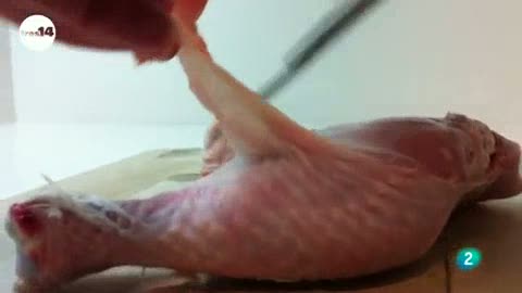 HACER APAREJOS DE PESCA hacer aparejos de pesca: