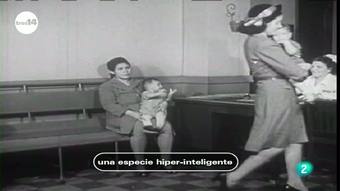 Ver v&iacute;deo  'tres14 - Curiosidades cient&iacute;ficas - Una especie hiper-inteligente'