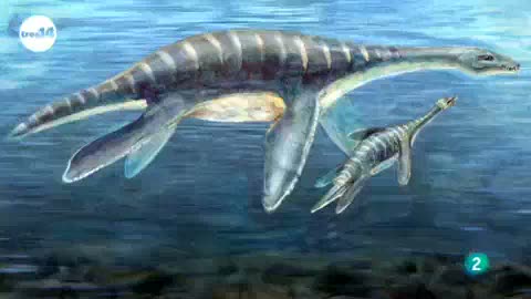 Ver v&iacute;deo  'tres14 - Curiosidades cient&iacute;ficas - los falsos dinosaurios'