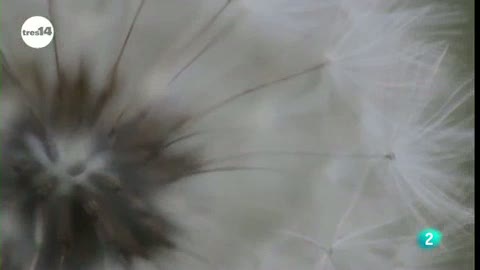 Ver v&iacute;deo  'tres14 - Curiosidades cient&iacute;ficas - El m&aacute;s ligero del mundo'