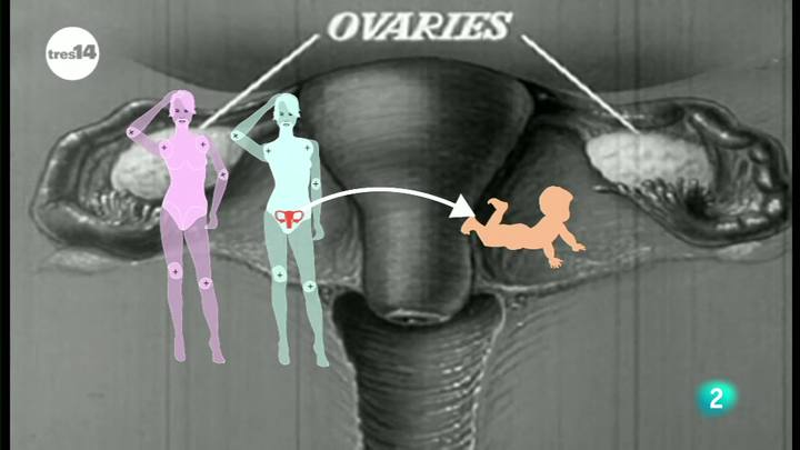Ver v&iacute;deo  'tres14 - Curiosidades cient&iacute;ficas - trasplante de &uacute;tero'