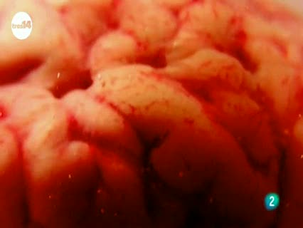Ver v&iacute;deo  'tres14 - curiosidades - &iquest;C&oacute;mo nos afectan los colores?'
