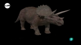 tres14 - Dinosaurios - Ver ahora