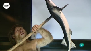 Ver vídeo  'tres14 - Neandertales'
