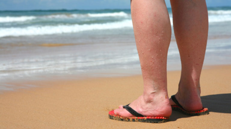 Saber vivir -Tu circulaci&oacute;n