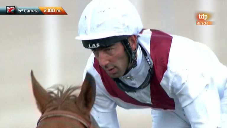 Turf - Carreras de caballos - 06/05/12