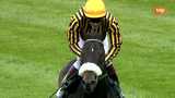 Turf - 15/05/13