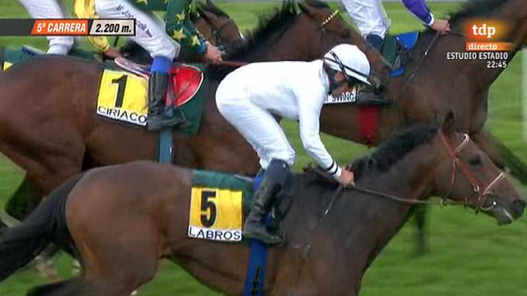 Turf - 19/05/13