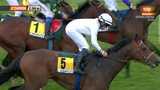 Turf - 19/05/13