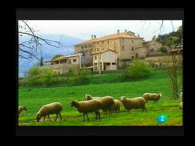 Terra Verda - Turisme a la natura