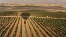 Ir al Video&nbsp;Turismo enol&oacute;gico desde el aire