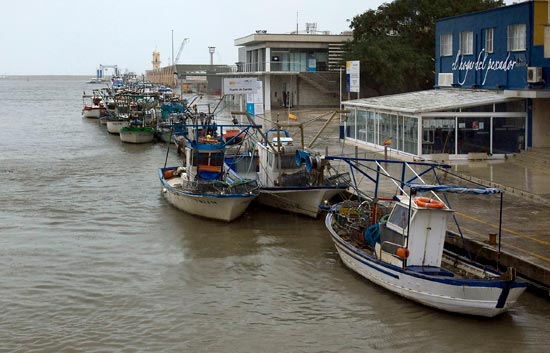 La UE propone mantener la veda de la anchoa