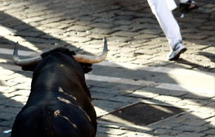Ver v&iacute;deo  '&Uacute;ltimo encierro San Ferm&iacute;n 2009'