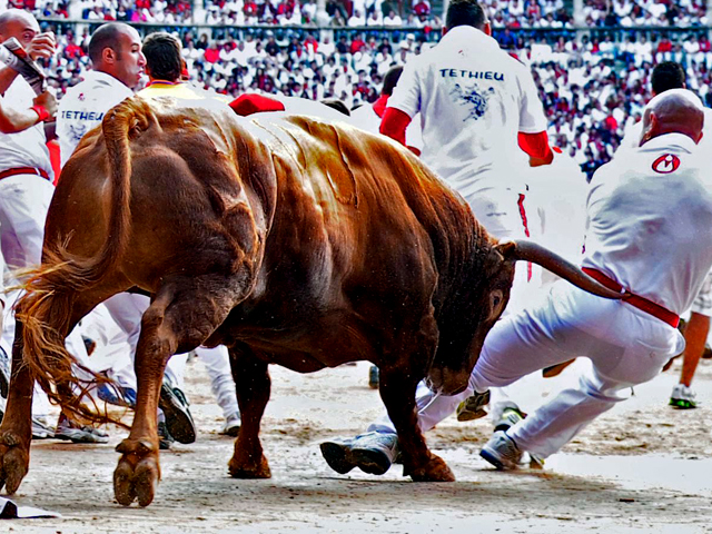 Octavo y &uacute;ltimo encierro de San Ferm&iacute;n 2010