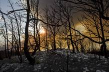LA UME Y EFECTIVOS DE ARAG&Oacute;N LUCHAN CONTRA EL FUEGO EN UN CAMPO DE MANIOBRAS