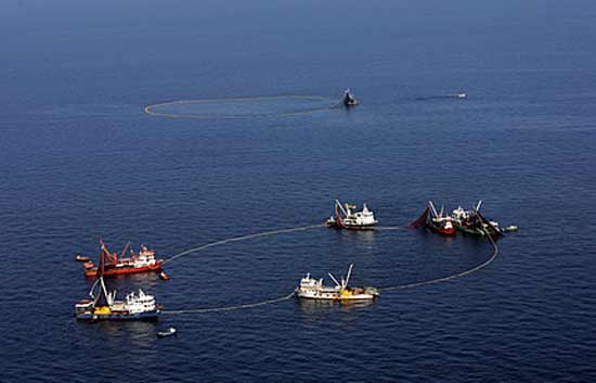 Ver v&iacute;deo  'La Uni&oacute;n Europea podr&iacute;a vetar la pesca de at&uacute;n rojo por la sobreexplotaci&oacute;n'