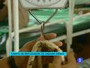 Ir al Video&nbsp;Unos 400.000 ni&ntilde;os corren el riesgo de morir de hambre en Somalia