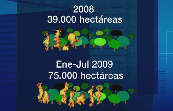 En lo que va de a�o han ardido unas 75.000 hect�reas de bosque