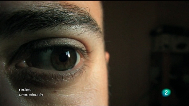 Redes - Ver el mundo en est&eacute;reo (entrevistas en V.O. inglesa) 