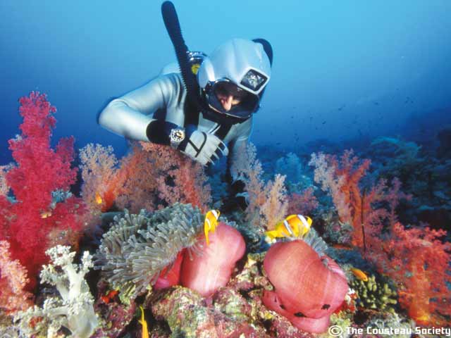 Viajes submarinos del capit&aacute;n Cousteau