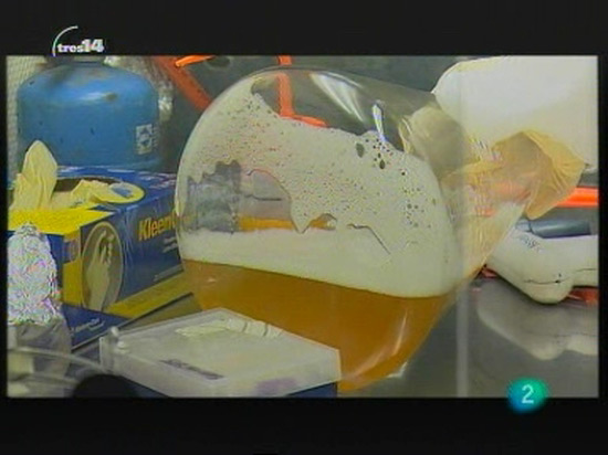 tres14 - Vida artificial 