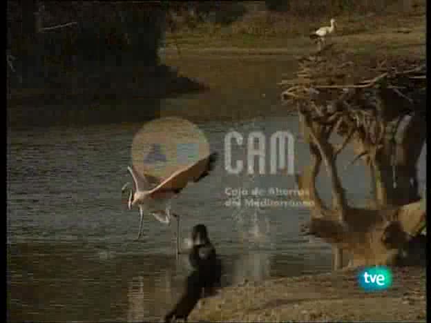 Guardianes de h&aacute;bitat - Vida en dos palmos de agua