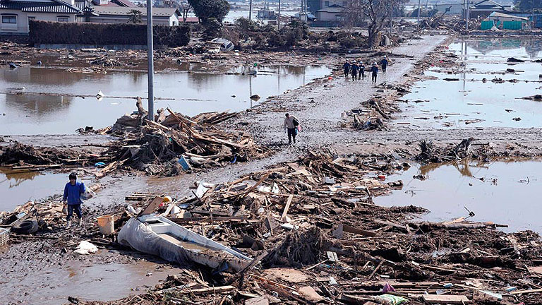 La vida submarina resiste al tsunami que devast&oacute; Jap&oacute;n hace un a&ntilde;o