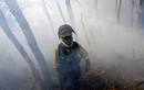 El viento complica la extinci&oacute;n del fuego.