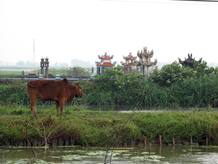 vietnam foto-4 vietnam foto-4