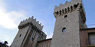 Los vinos de Alicante