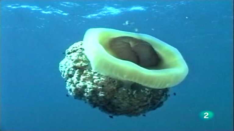 Agua - Una visi&oacute;n global