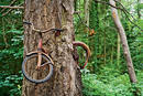 Bicicleta frenada.