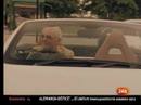 Ir al Video&nbsp;Woody Allen estrena en Avil&eacute;s "Conocer&aacute;s al hombre de tus sue&ntilde;os"