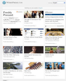 WordPress, la plataforma de blogs m&aacute;s popular